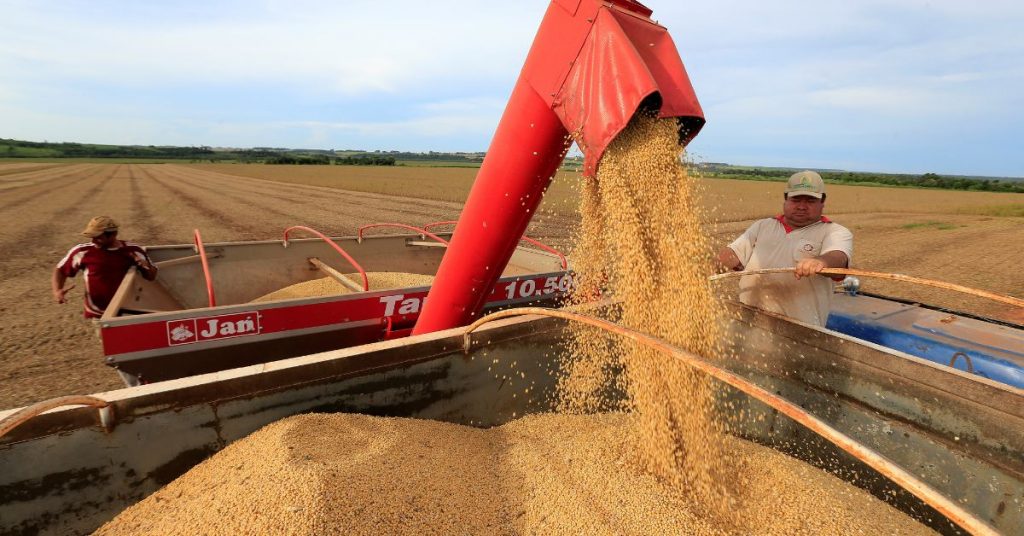 Caramuru inicia comercialização de etanol hidratado de soja