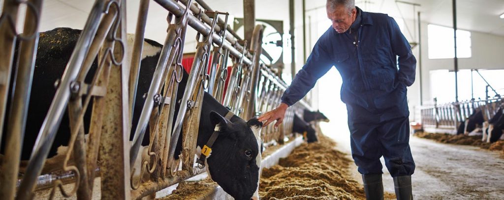 Receita da Cargill aumentou 7% para US$ 177 bilhões