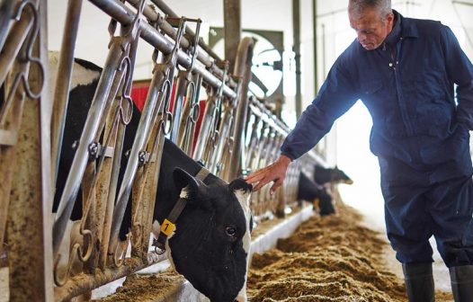 Receita da Cargill aumentou 7% para US$ 177 bilhões