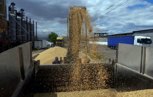 Índice de preços de alimentos da FAO sobe 1,3% em julho