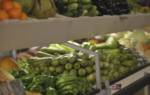 Maioria das hortaliças registra queda de preço no atacado em julho