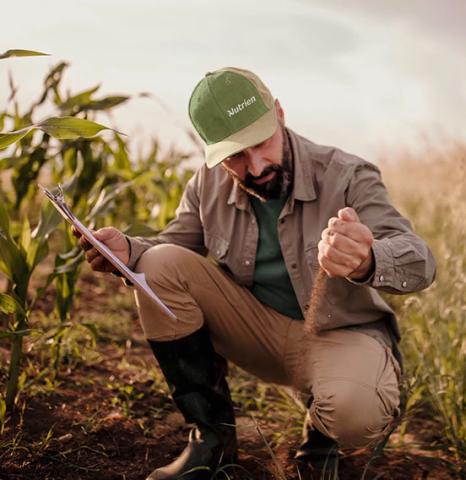 Lucro da Nutrien cai 88% e chega a US$ 448 milhões