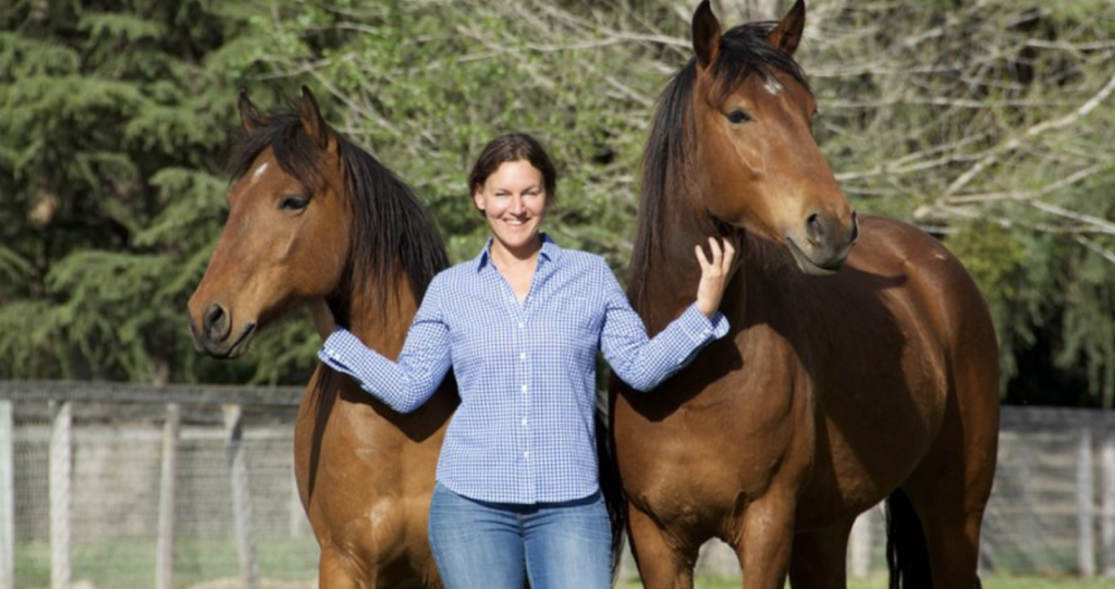 Paraná inaugura academia brasileira de cavalo