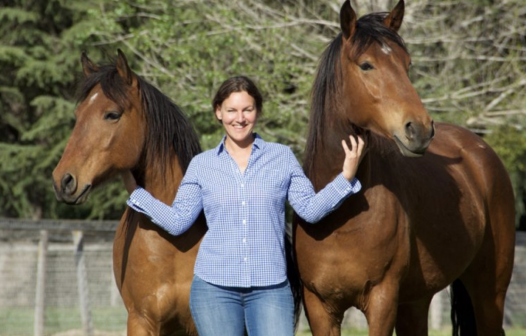 Paraná inaugura academia brasileira de cavalo