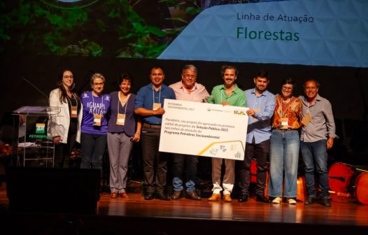 Petrobras seleciona 31 projetos na 1º fase de programa sociambiental