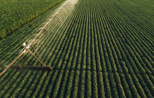 Produção agroindustrial recuou 1,2% no 1º semestre