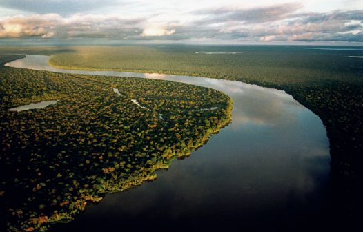 Amazônia teve em dois anos destruição similar à temporada do ‘El Niño