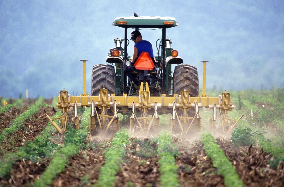 Safra agrícola alcançou em 2022 valor de produção recorde de R$ 830,1 bilhões