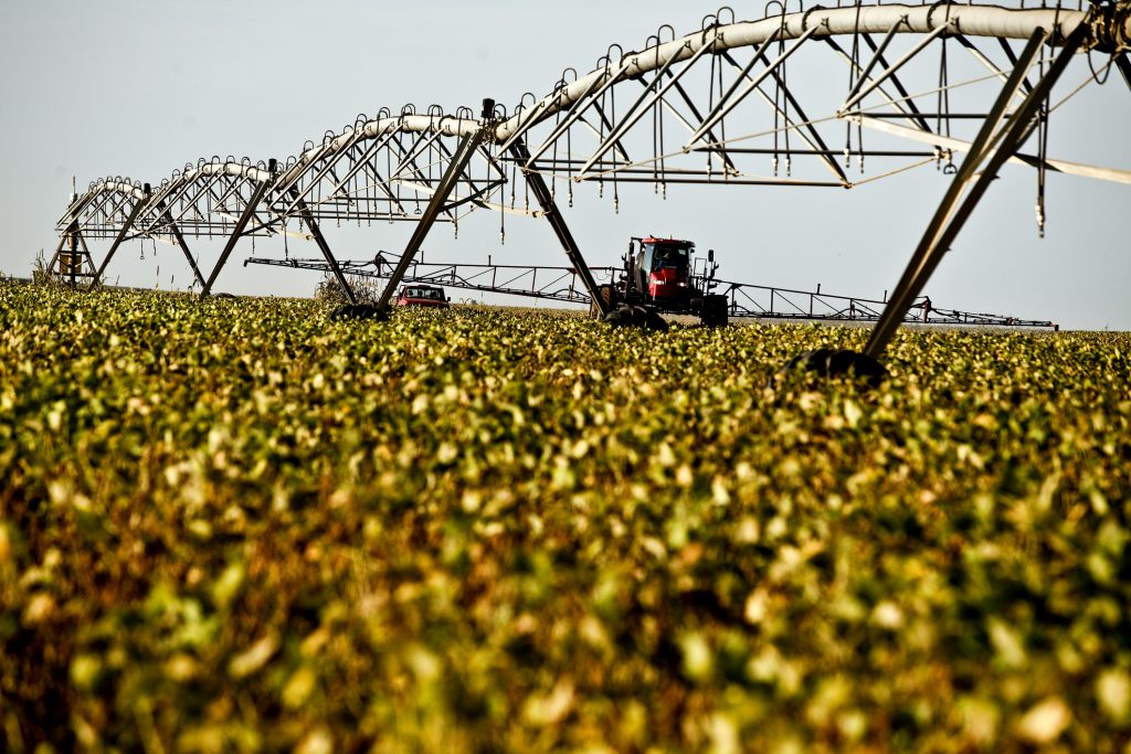 Mais de 70% dos produtores já observam efeitos do aquecimento global