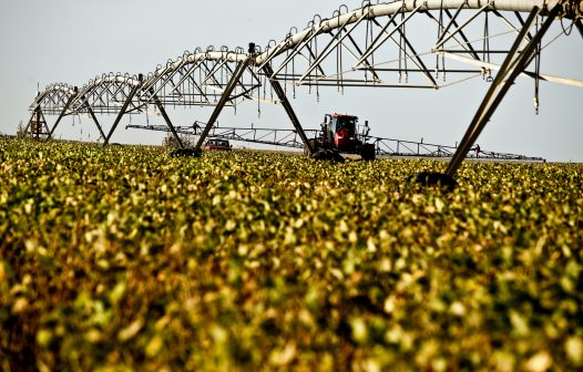 Mais de 70% dos produtores já observam efeitos do aquecimento global