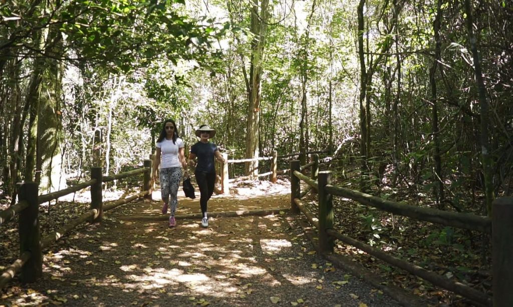 Brasil tem mais de dez mil quilômetros de trilhas cadastradas