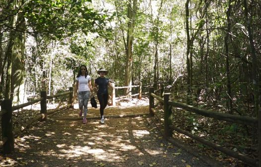 Brasil tem mais de dez mil quilômetros de trilhas cadastradas