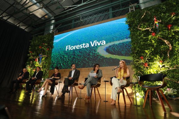 Vale apoia restauração ecológica do BNDES na Bacia Hidrográfica do Xingu