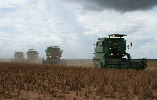 Área reservada à agropecuária no país cresceu 50% em 37 anos