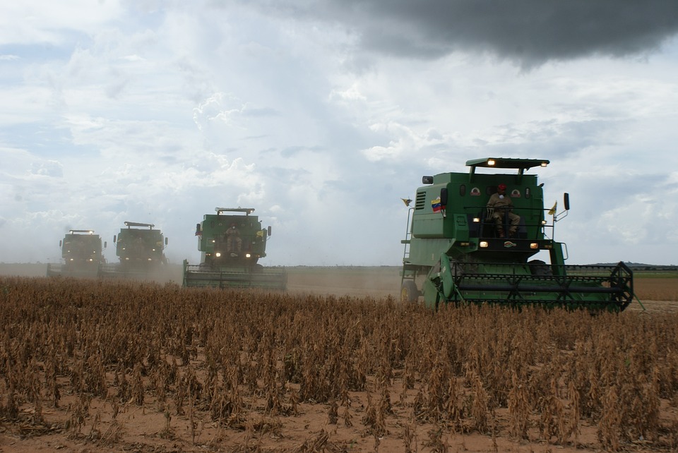 Área reservada à agropecuária no país cresceu 50% em 37 anos