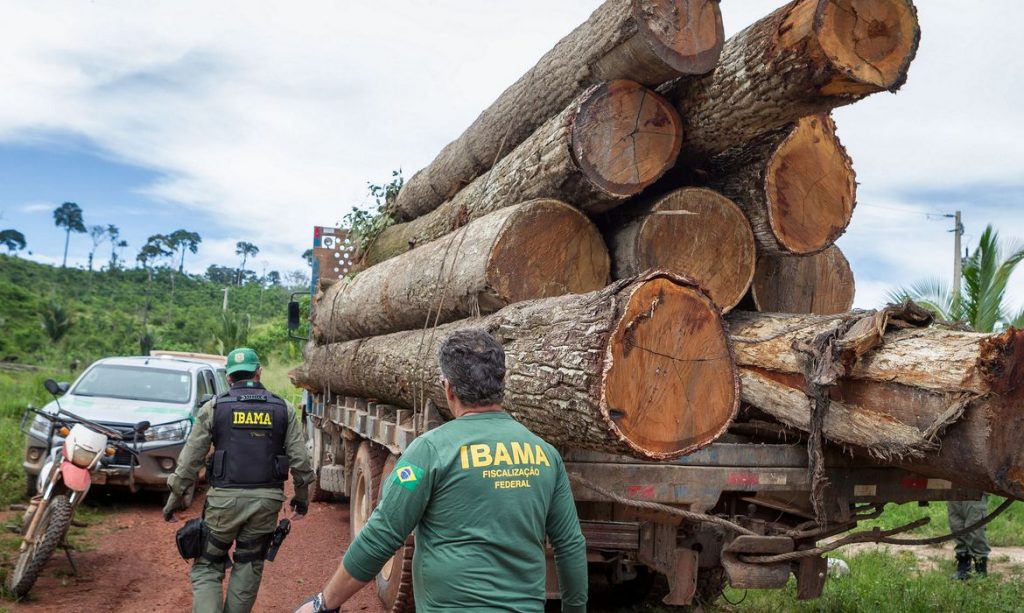 Ibama estabelece diretrizes de ações ambientais para 2024