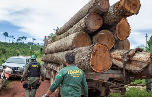 Ibama estabelece diretrizes de ações ambientais para 2024