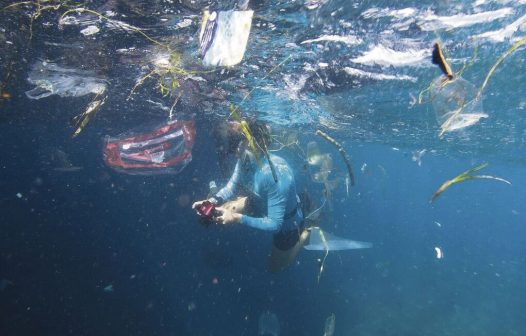 Mergulhadores se dedicam à missão de recolher lixo submarino