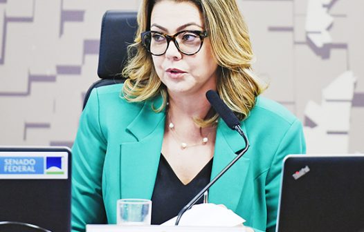 Comissão do Senado aprova projeto do mercado de carbono