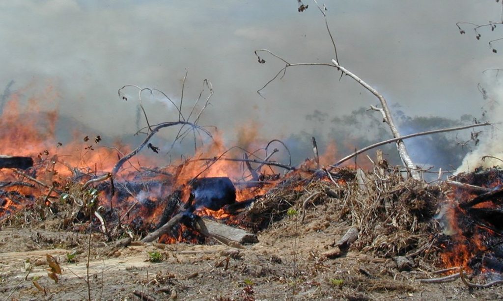 Governo anuncia R$ 225 milhões para o Amazonas em meio à seca histórica