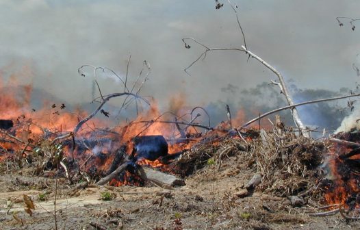 Governo anuncia R$ 225 milhões para o Amazonas em meio à seca histórica