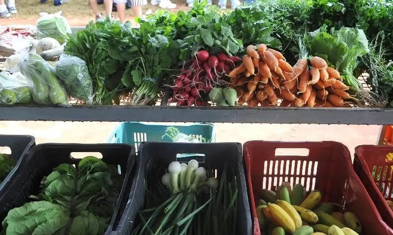 Clima favorece alta de preço da maioria de hortaliças e frutas no atacado