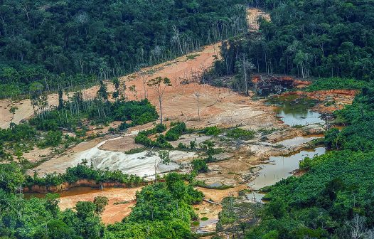 Organização denuncia invasão em área de indígenas isolados