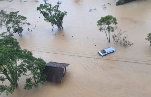 Brasil lidera litígios climáticos entre países em desenvolvimento