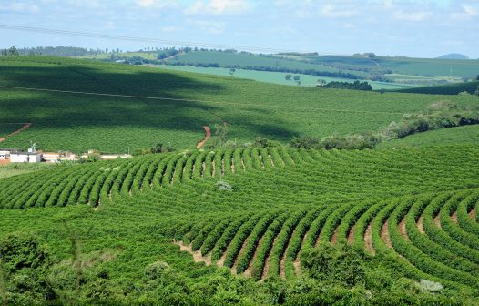 Exportações do agronegócio batem recorde de volume em 2023