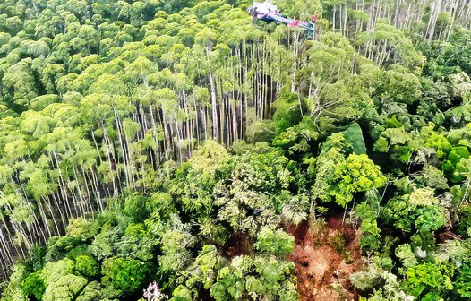 Autoridades de SP confirmam a morte dos quatro ocupantes de helicóptero que havia desaparecido