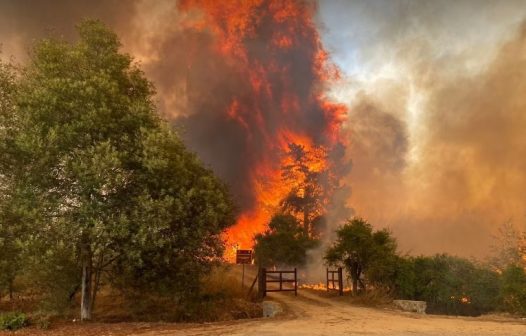 Centenas estão desaparecidos nos incêndios florestais no Chile