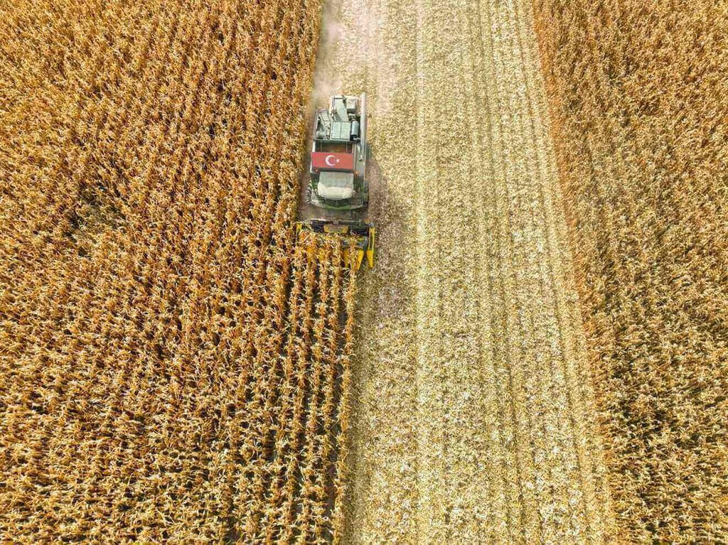 Safra agrícola deve cair 3,8% este ano por causa de problemas climáticos