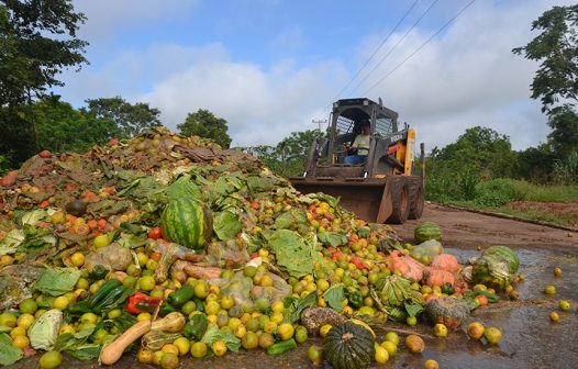 Brasil perde ou desperdiça 42% do seu abastecimento alimentar