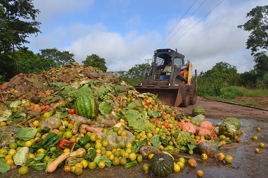 Brasil perde ou desperdiça 42% do seu abastecimento alimentar