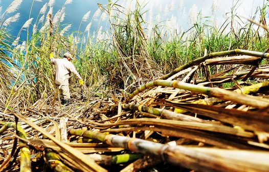 Lucro da Adecoagro chegou a US$ 82,209 milhões no quarto trimestre