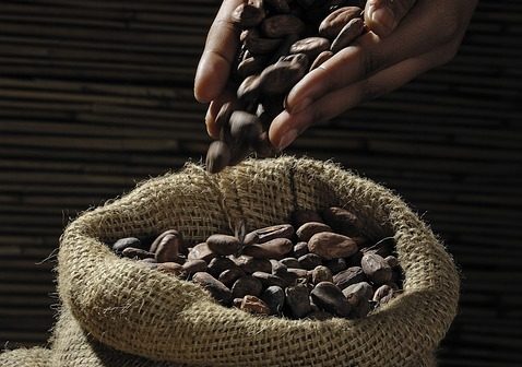 Preços do cacau devem levar fabricantes de chocolate a fazer mudanças nos produtos