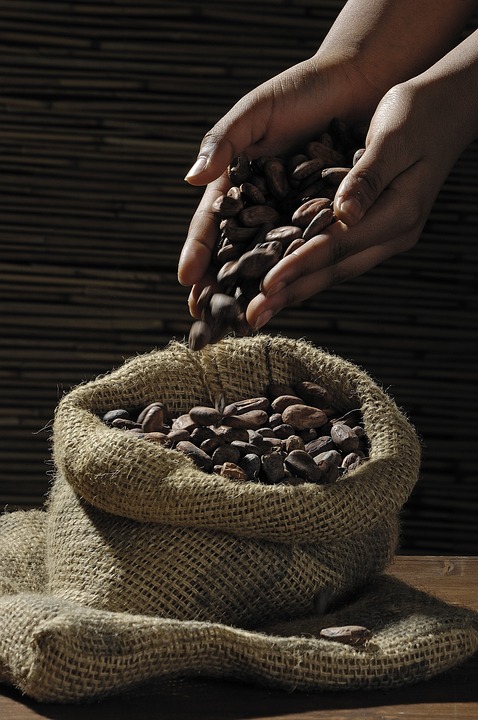 Preços do cacau devem levar fabricantes de chocolate a fazer mudanças nos produtos