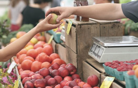 Preços da alface, da batata, da cebola e do tomate sobem em fevereiro