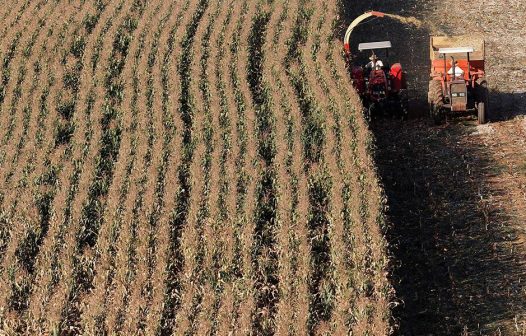 Ministério da Fazenda reduz projeção para inflação este ano