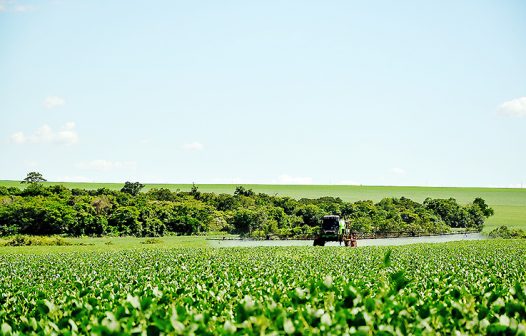 Conab faz mais um corte na estimativa da safra