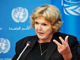 Relatora da ONU diz que quem preserva biomas defende direitos humanos