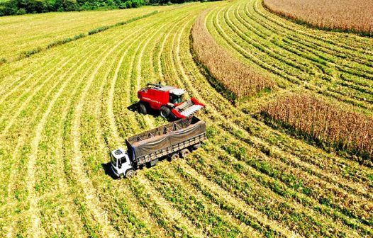 Balança comercial do agronegócio de SP registra alta de 23,4%