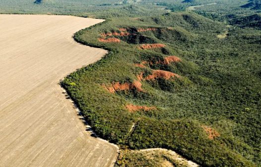 Desmatamento caiu 62% na Amazônia e 12% no Brasil