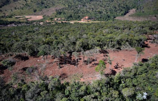 Desmatamento na Mata Atlântica persiste e governo prepara plano de combate