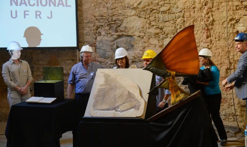 Colecionador europeu doa mais de mil peças para o Museu Nacional