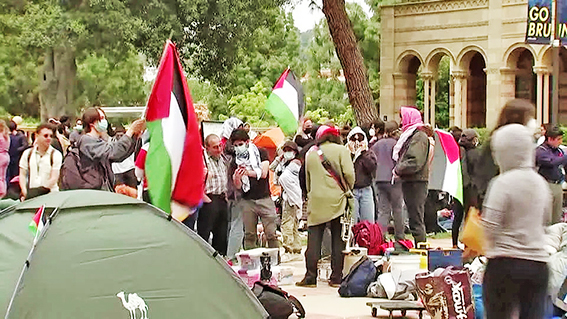 Polícia desmantela acampamento na Universidade da Califórnia