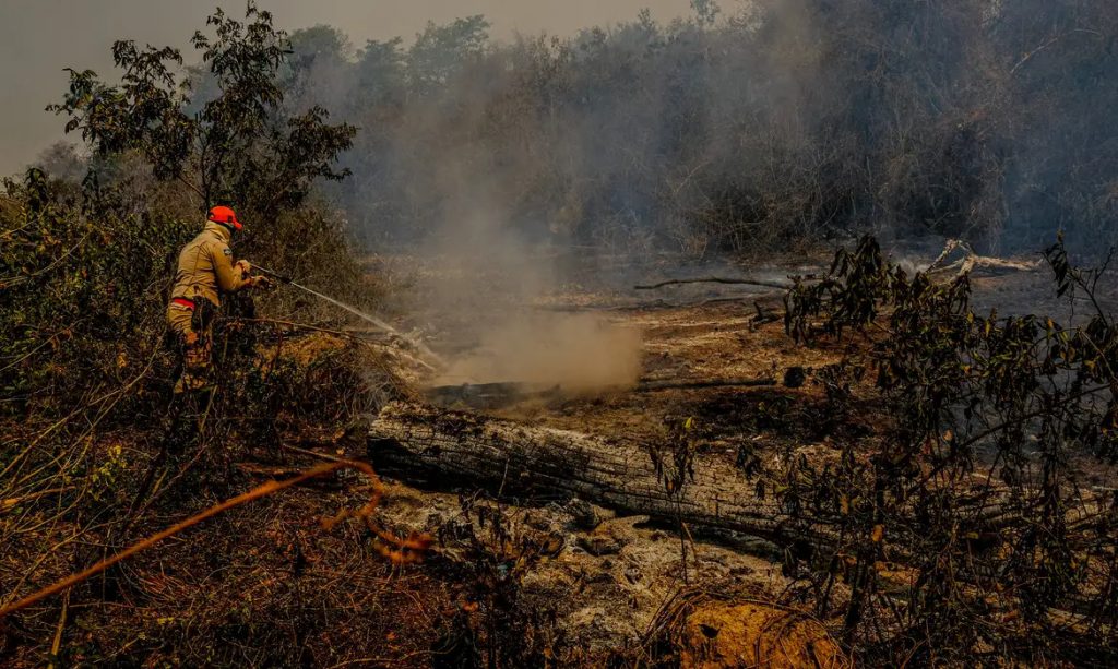 Mato Grosso do Sul decreta situação de emergência