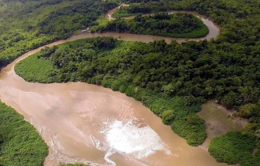 Noruega repassa mais de R$ 270 milhões ao Fundo Amazônia