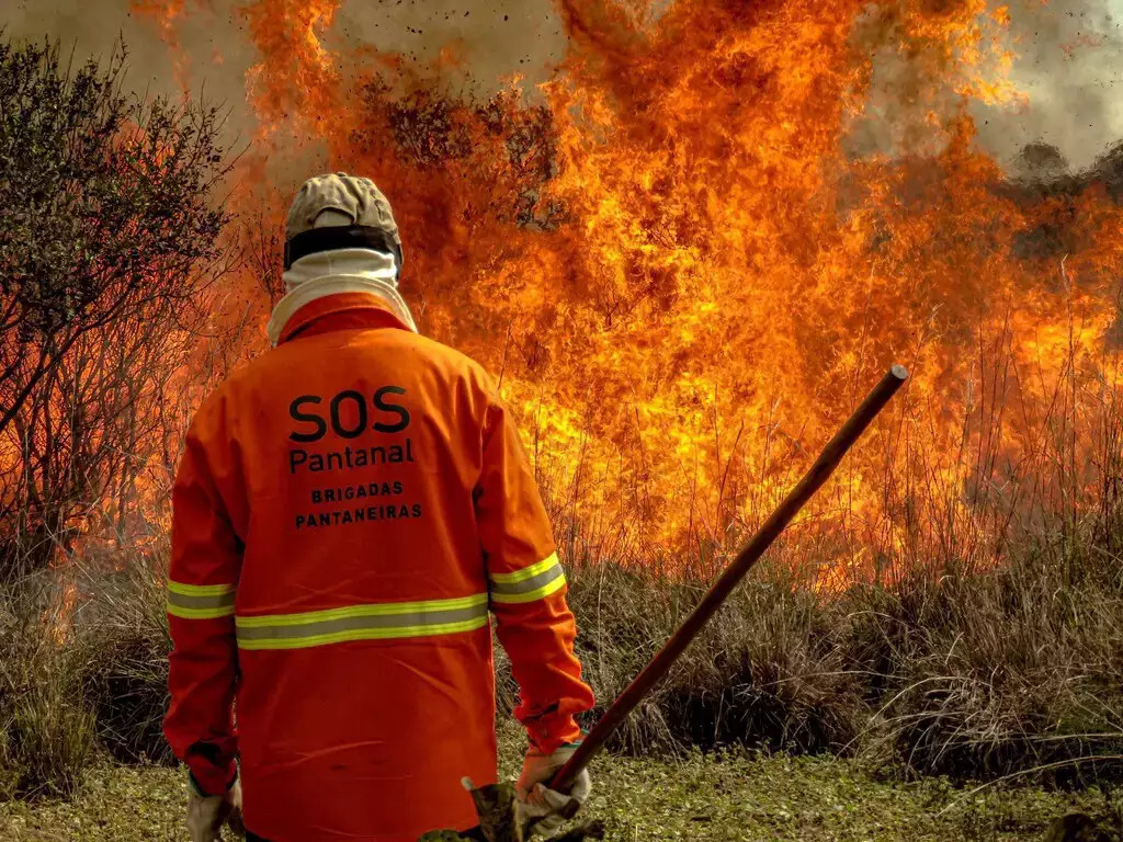 Governo vai liberar R$ 100 milhões para combate a incêndios no Pantanal