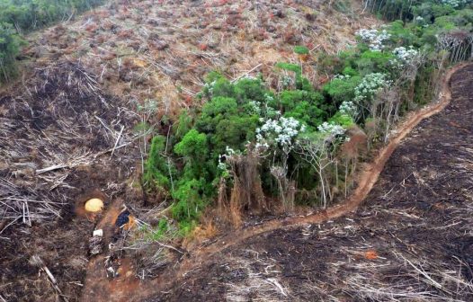 Piauí debate nova lei ambiental